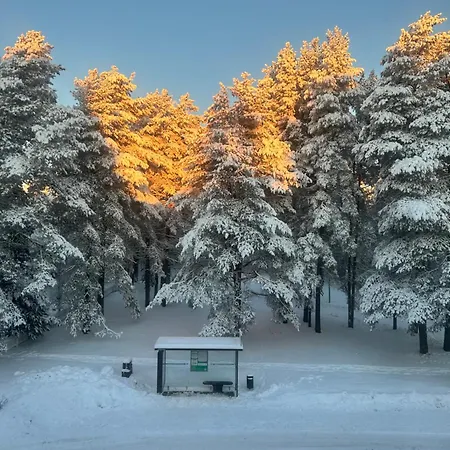 Ounasvaara Arctic 公寓 罗瓦涅米