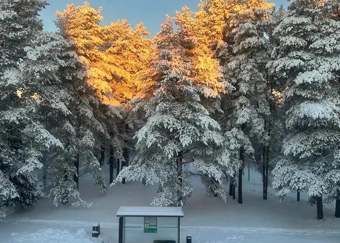 Ounasvaara Arctic Διαμέρισμα Ροβανιέμι